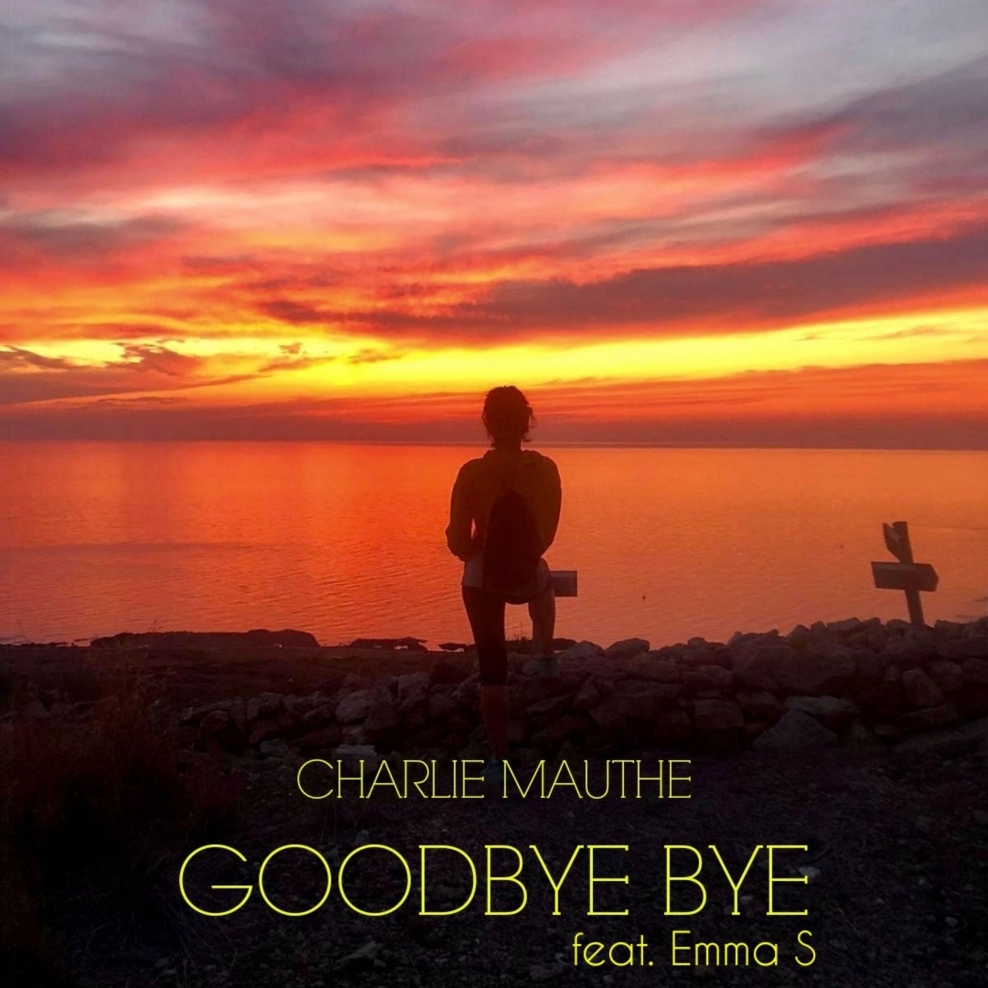 Charlie Mauthe - Goodbye Bye (feat. Emma S) [Lindagrooves]