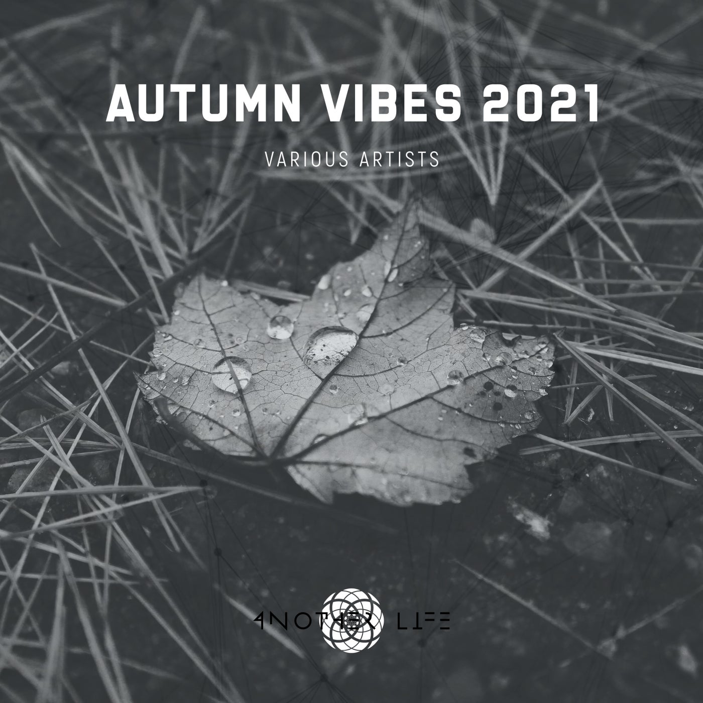 Agustin Pietrocola, Christopher Hermann - Autumn Vibes 2021 [Another Life Music]