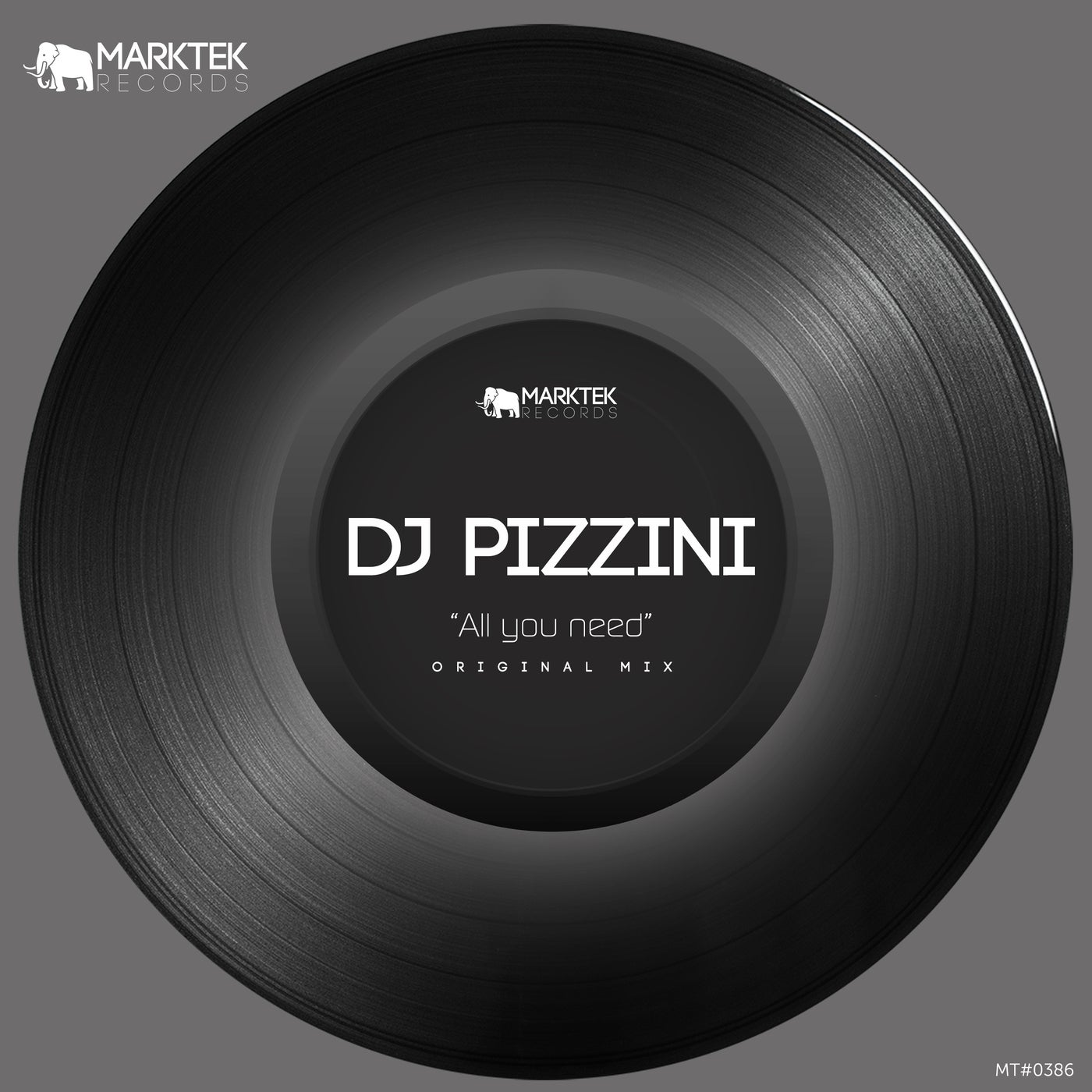 DJ PIZZINI - All You Need [Marktek Records]