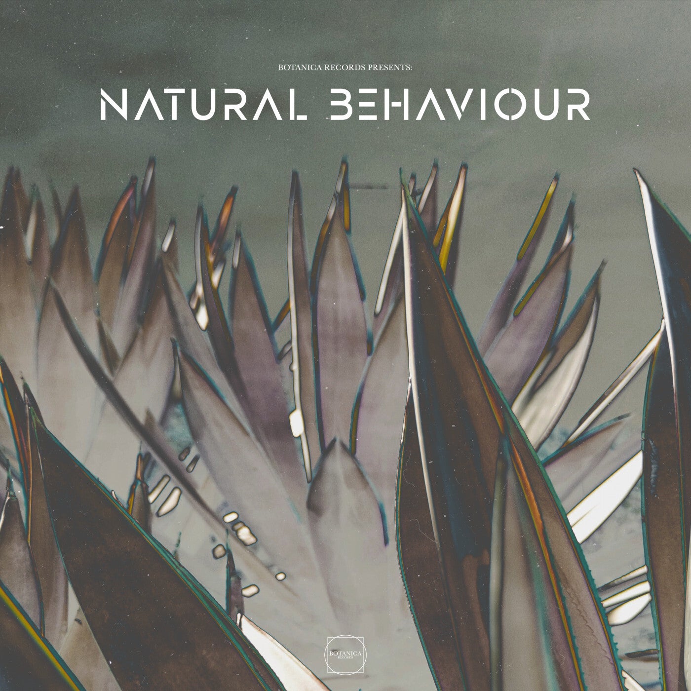 Dom3n & IKO, Emiliano Cassano & Dario Caruson , Emiliano Cassano - Natural Behaviour Vol. 01 [Botanica Records]