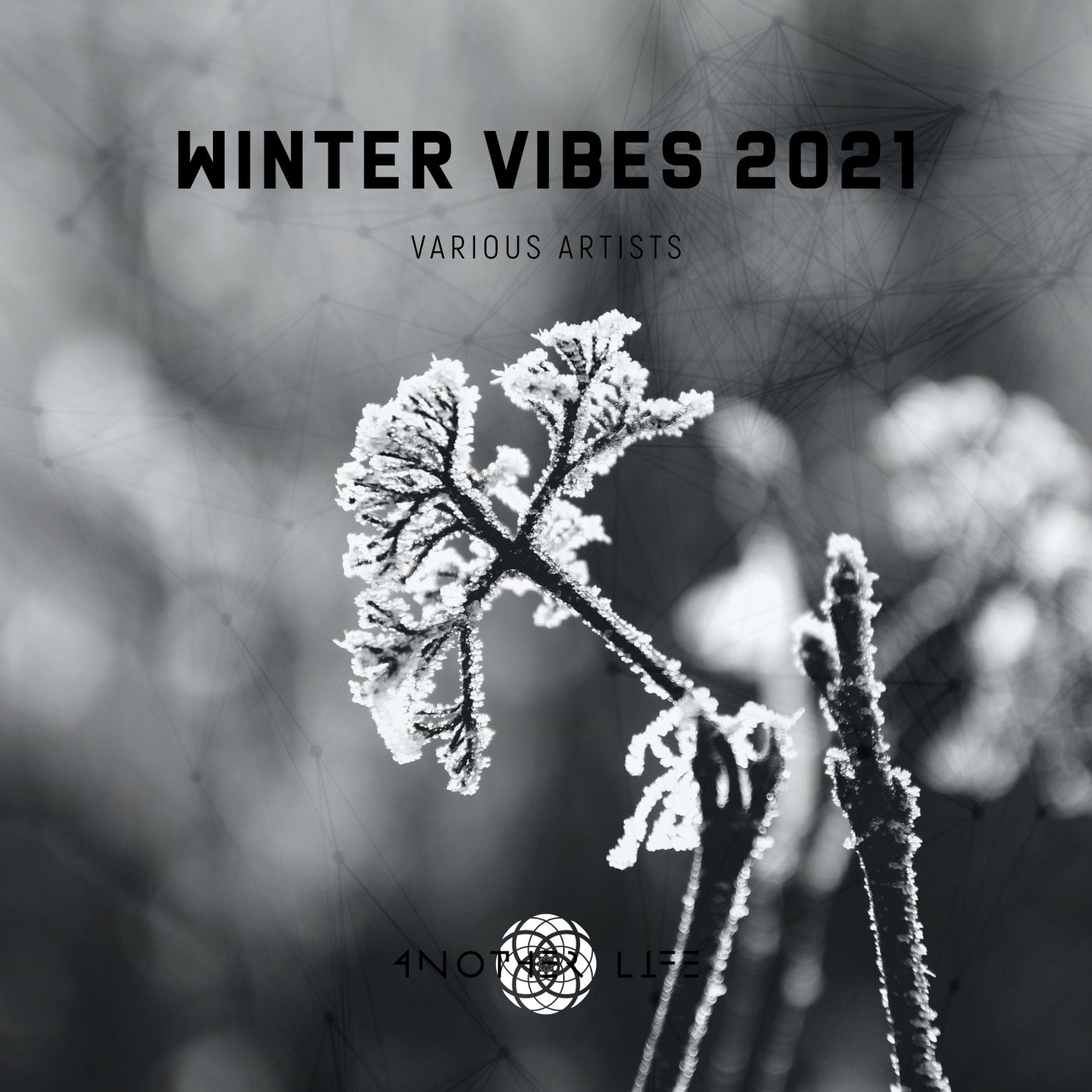 Alejo Fochi, Antela - Winter Vibes 2021 [Another Life Music]