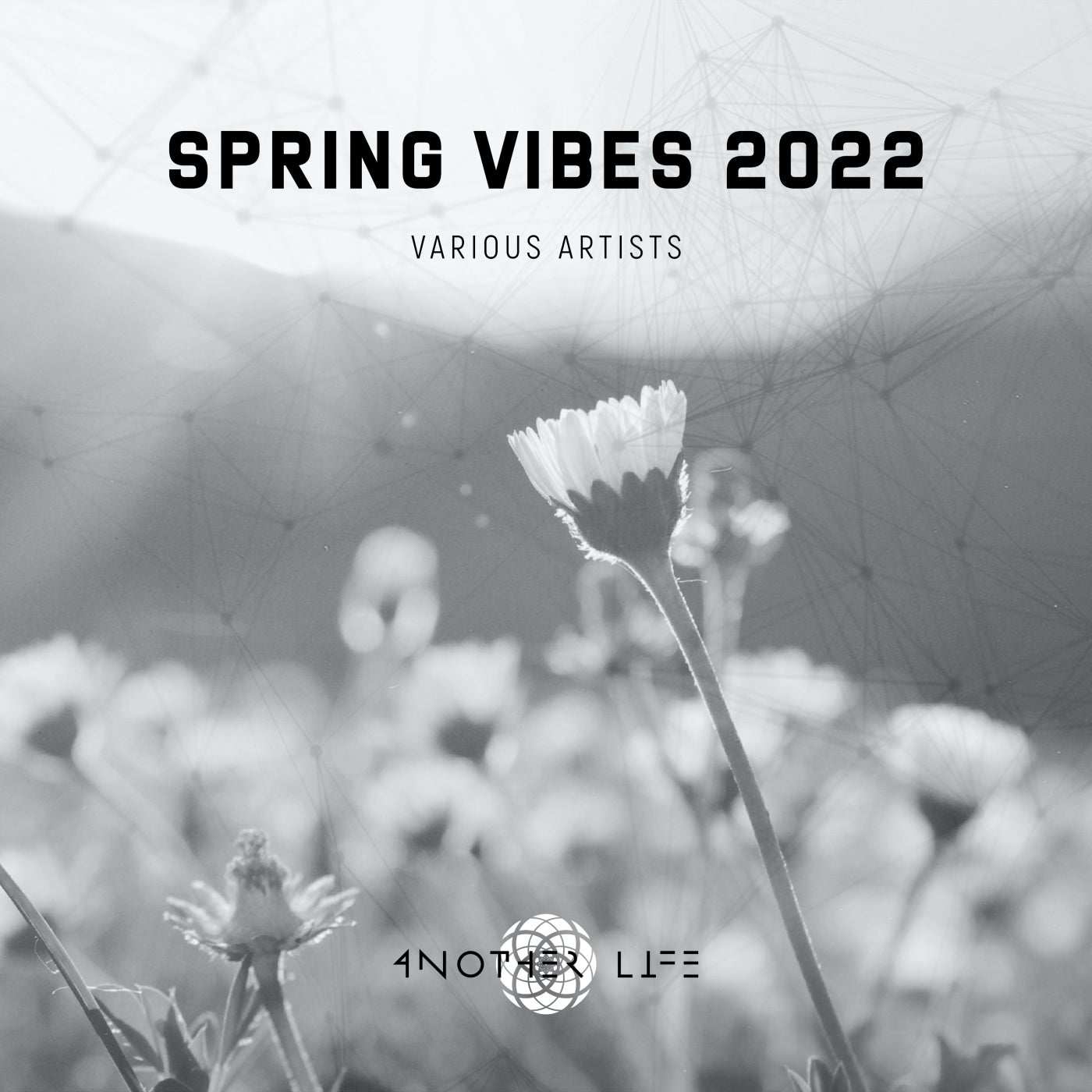 187rec, Bagoly - Spring Vibes 2022 [Another Life Music]