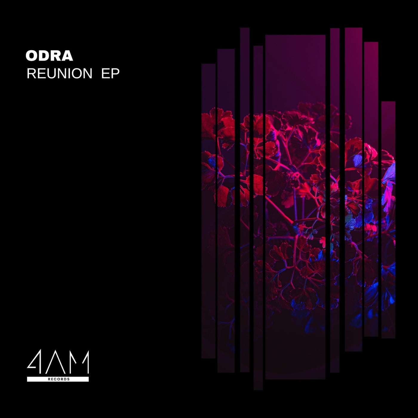 Odra - Reunion [4AM Records]
