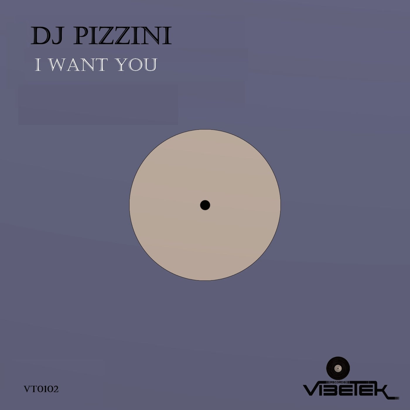 DJ PIZZINI - I Want You [Vibetek Records]