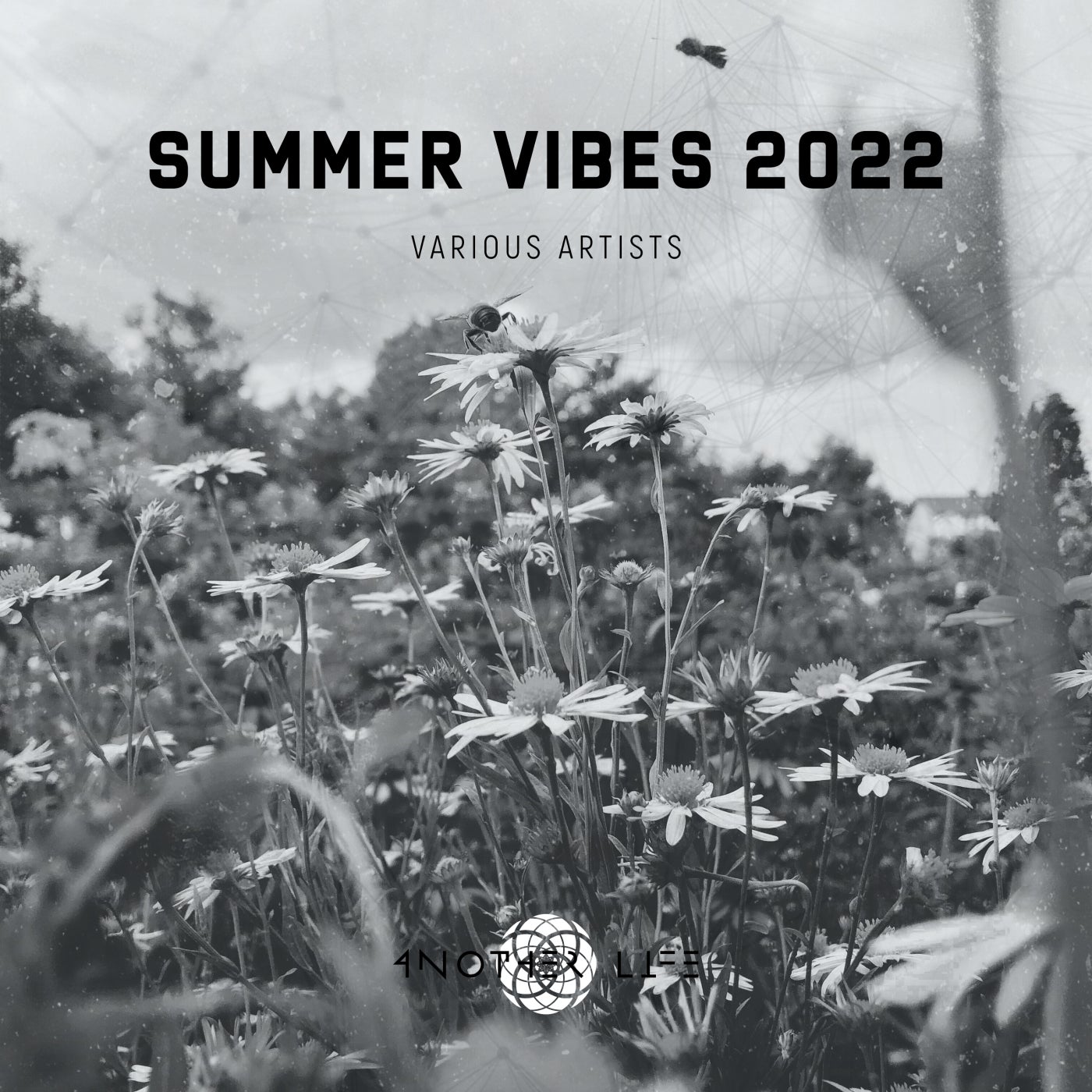 ANix JAy, Bagoly - Summer Vibes 2022 [Another Life Music]
