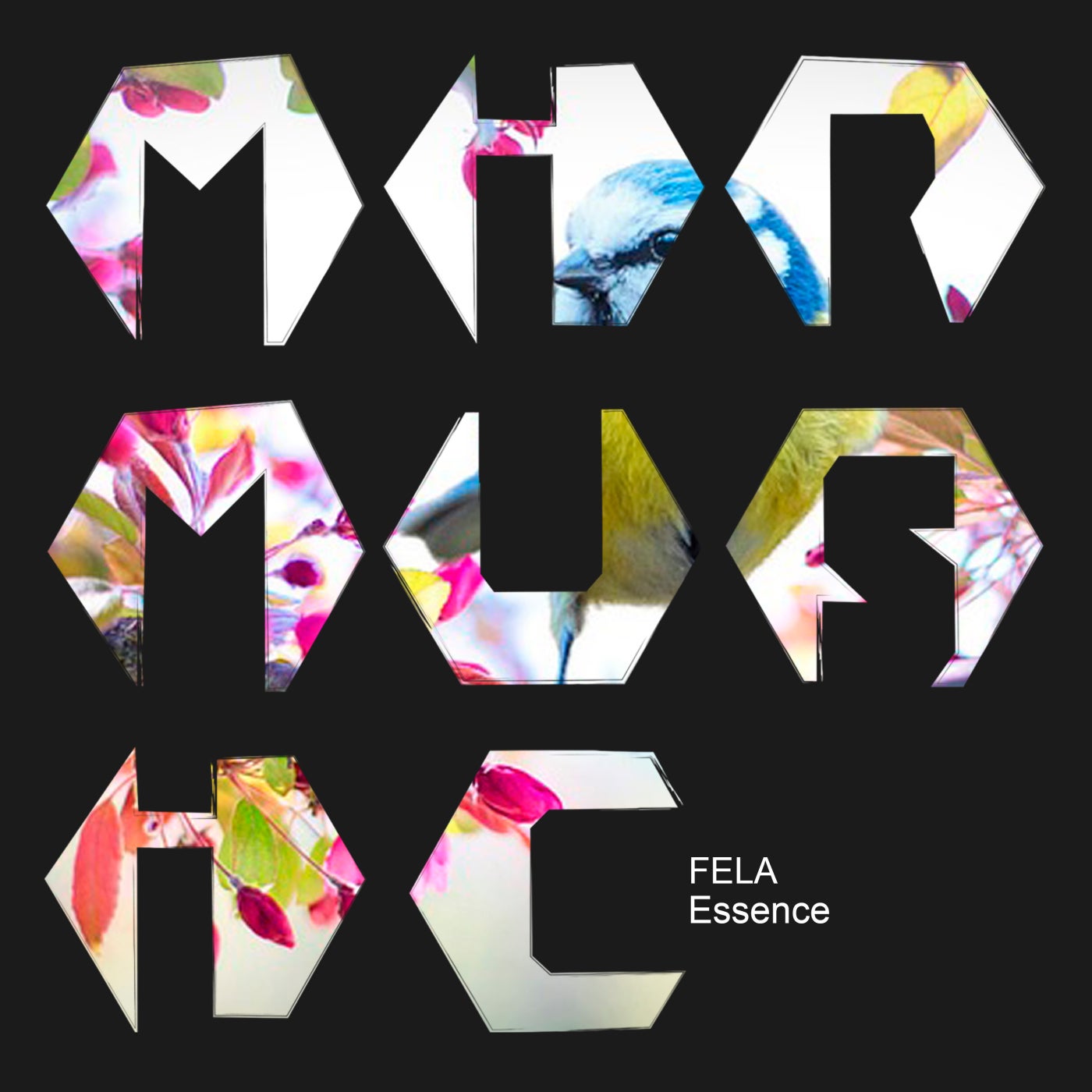 FELA (AR) - Essence [MIR MUSIC]