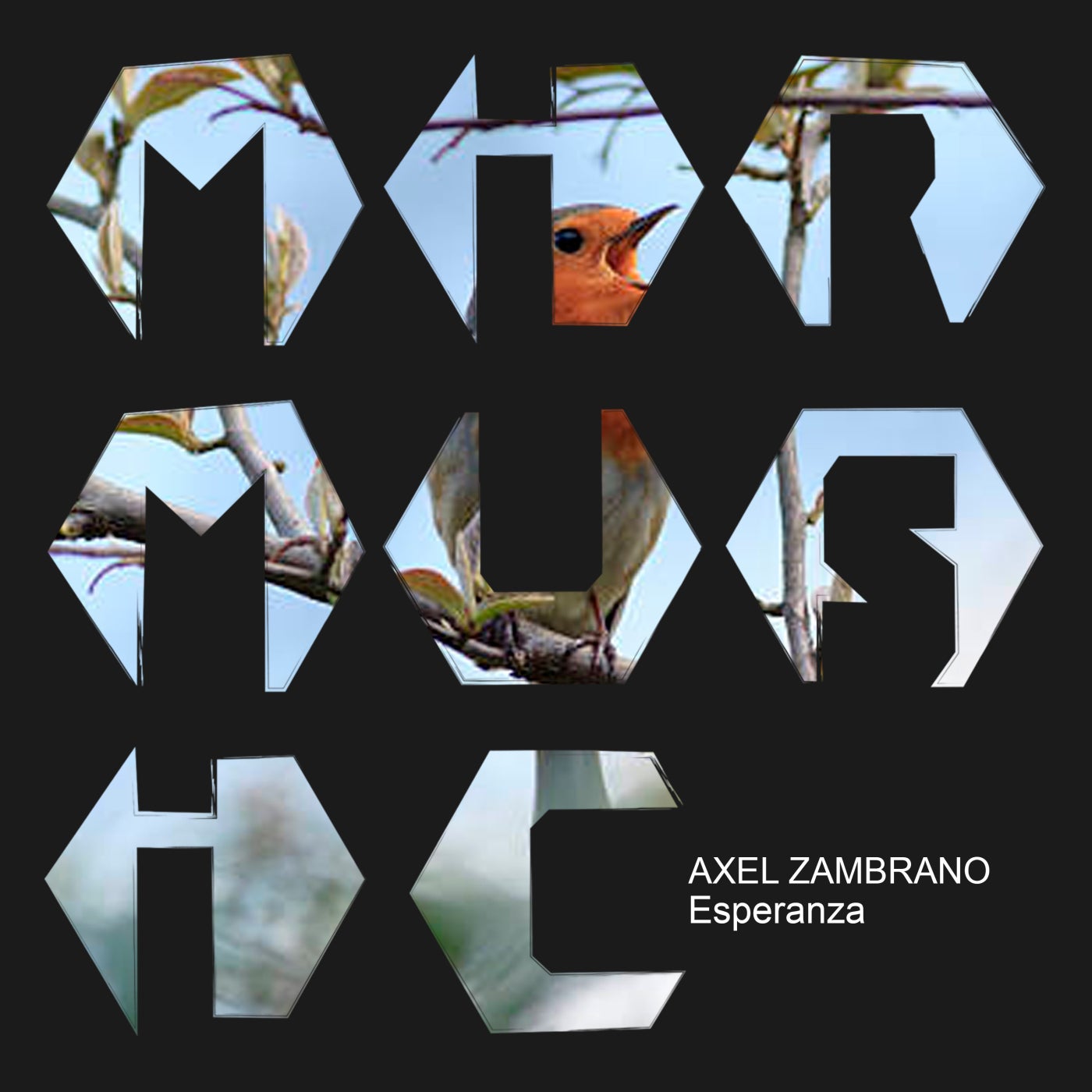 Axel Zambrano - Esperanza [MIR MUSIC]