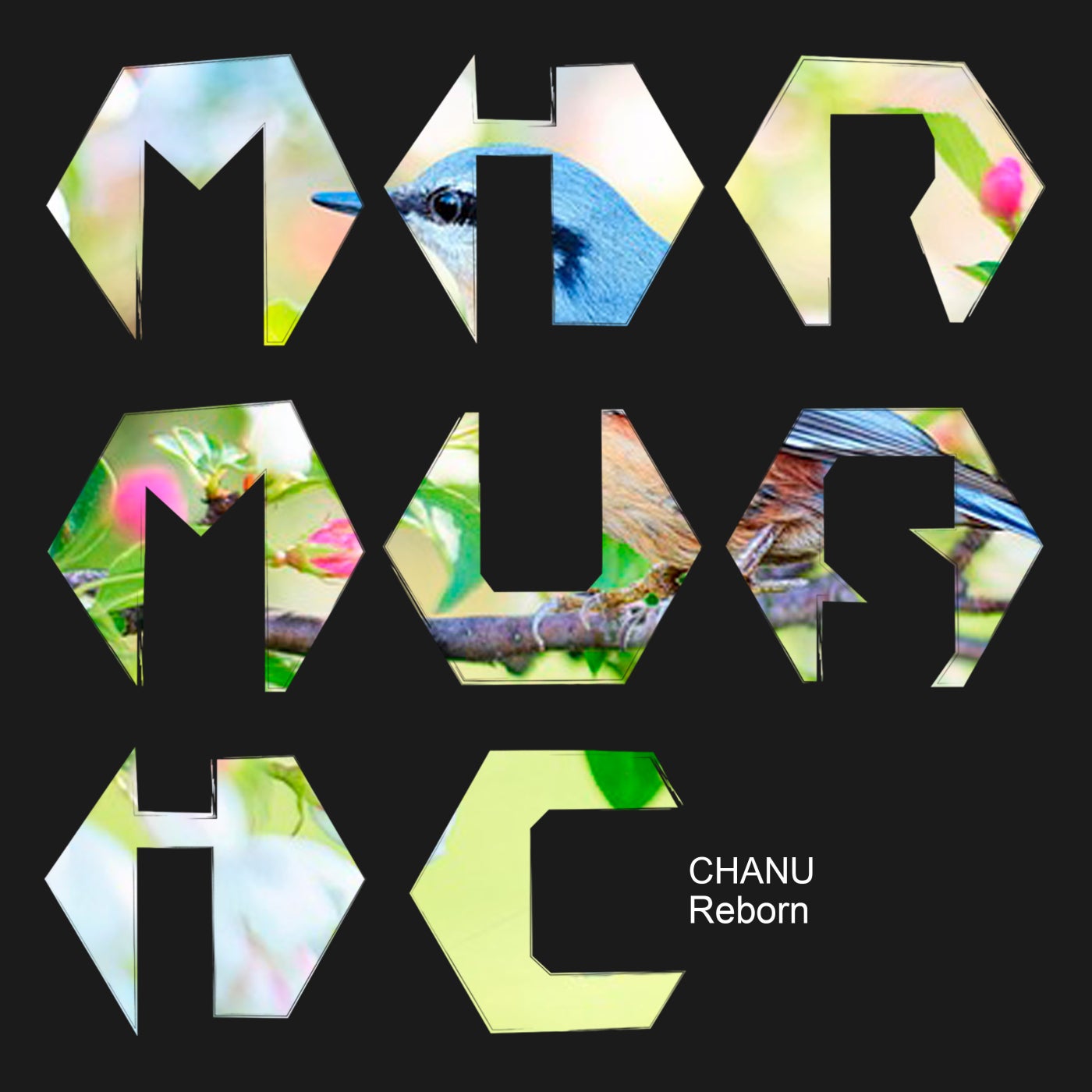 Chanu - Reborn [MIR MUSIC]