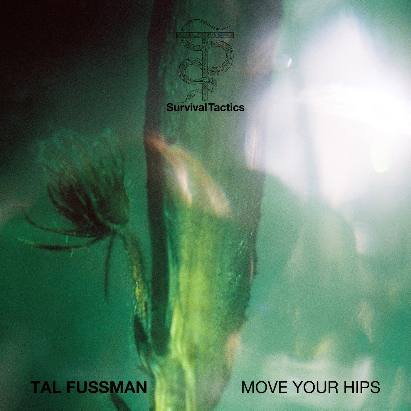 Tal Fussman - Move Your Hips [Survival Tactics]