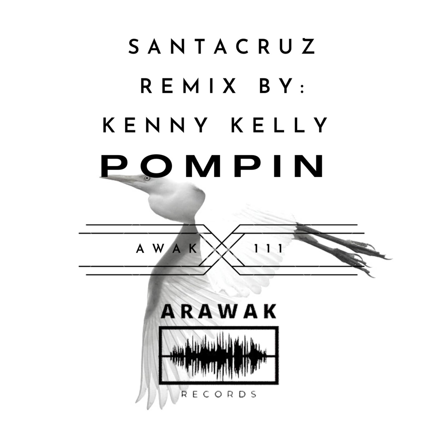 Santacruz - Pompin [Arawak Records]