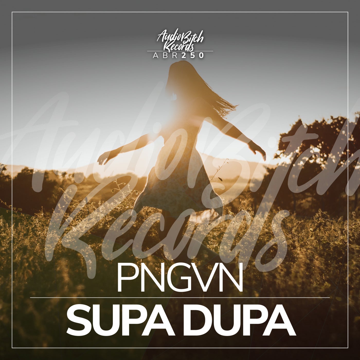 PNGVN - Supa Dupa [Audio Bitch Records]