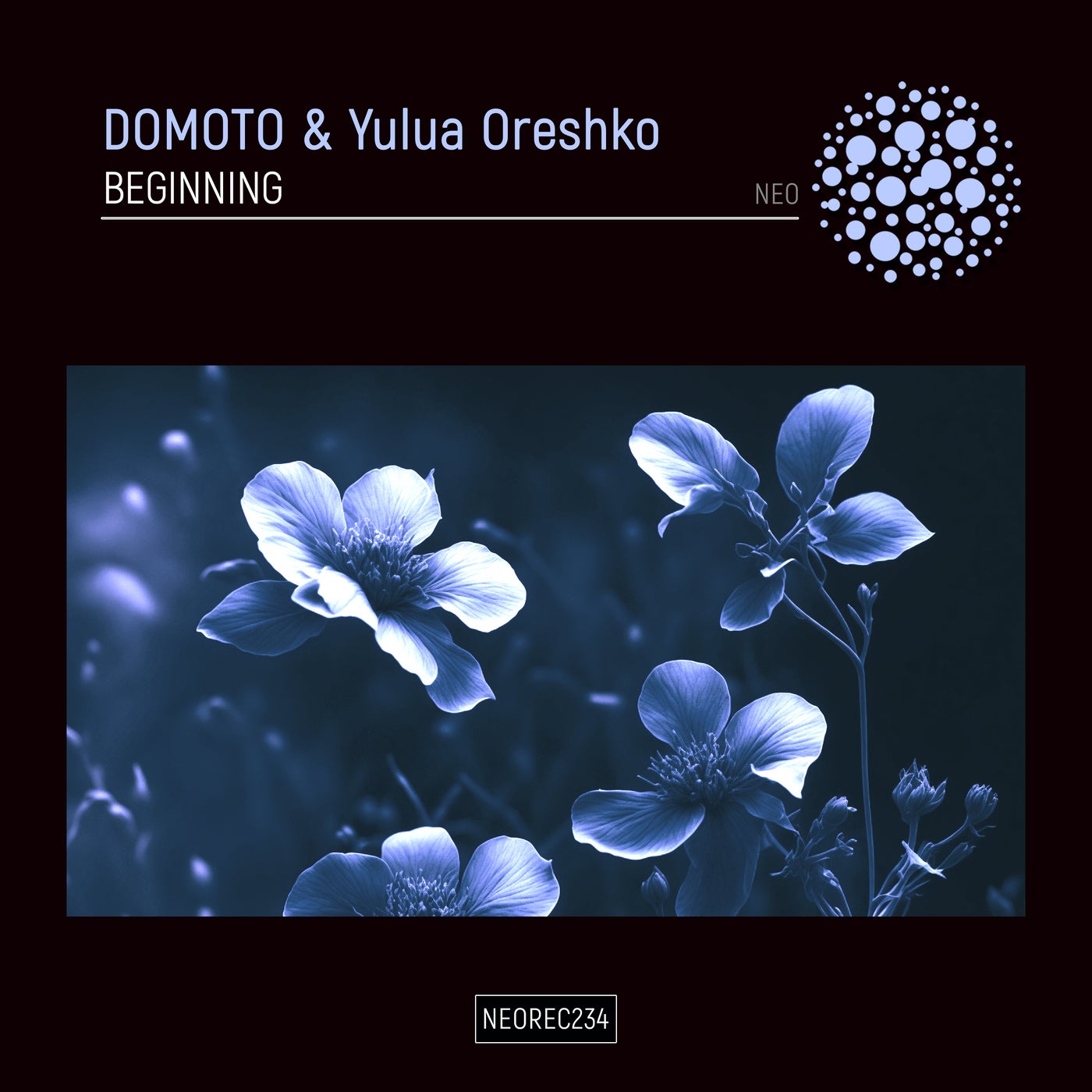 Domoto & Yulua Oreshko - Beginning [NEO]