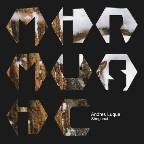 Andres Luque - Shoganai [MIR MUSIC]