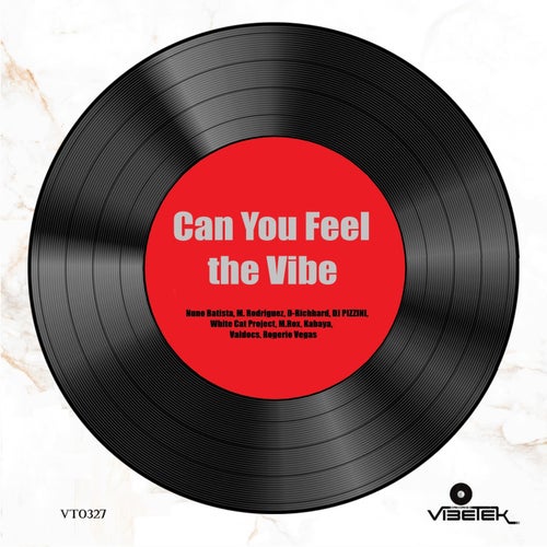 D-Richhard, DJ PIZZINI - Can You Feel the Vibe [Vibetek Records]