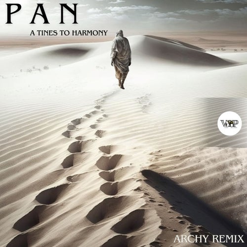 P A N - A Tines to Harmony (Archy Remix) [Camel VIP Records]