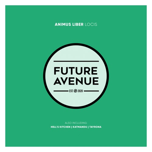 Animus Liber, APNITUS - Afterhours Vol 5 [Future Avenue]