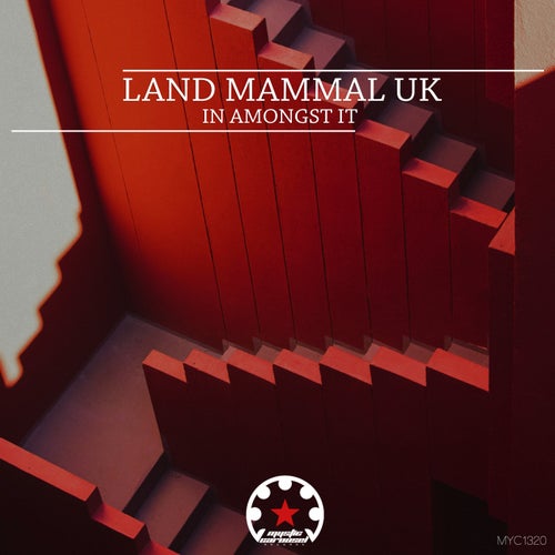 Land Mammal UK - In Amongst It [Mystic Carousel Records]