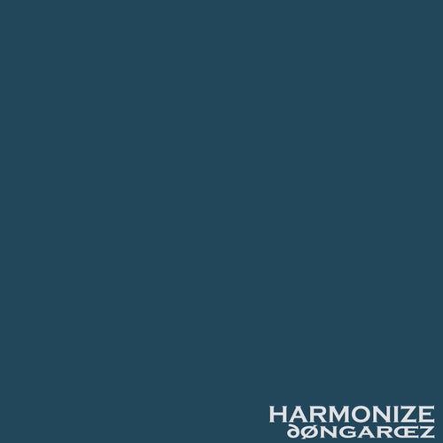 Dongarcez - Harmonize [VAN STORCK MUSIC]