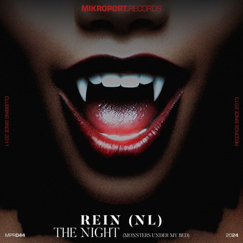 Rein (NL) - The Night EP [Mikroportrecords]