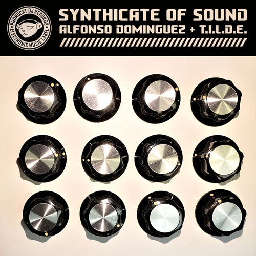 Alfonso Dominguez, T.I.L.D.E. - Synthicate Of Sound [Phonocat DJ Records]