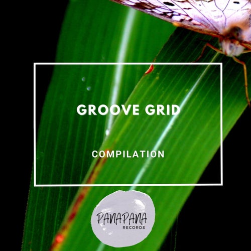 Andreas Mourer - Groove Grid [Panapana Records]