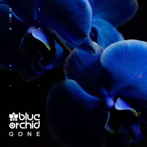 Blue Orchid - Gone [DistroKid]