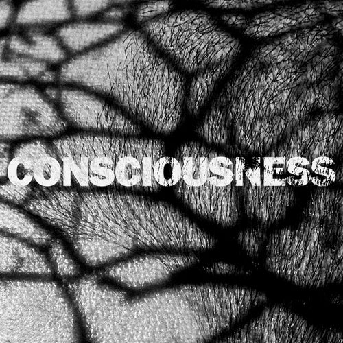 ELEVIN - Consciousness [ELEVIN]