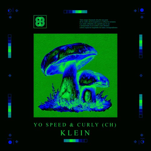 Yo Speed, CURLY (CH) - Klein [83]