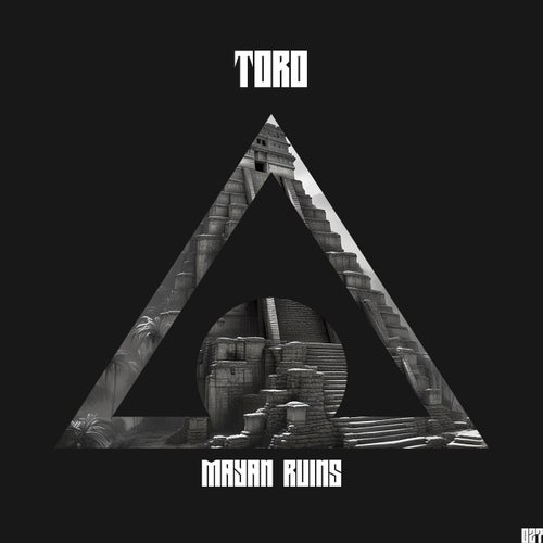 Toro - Mayan Ruins [New World Music Mx]