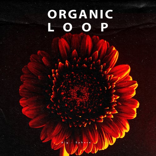 Aig, Lel - Opposition [Organic Loop]