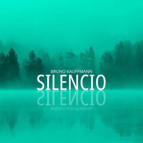 Bruno Kauffmann - Silencio [Technoïdal Records]