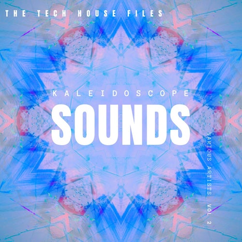 Arbelaster, Arrow Lee - Kaleidoscope Sounds, Vol. 2 (The Tech House Files) [Feel The Vibe]