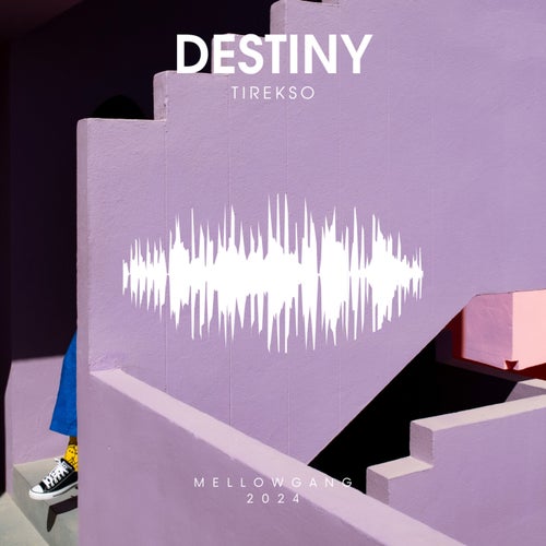 Tirekso - Destiny [MellowGang]