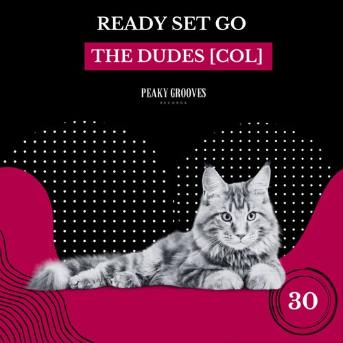 The Dudes [COL] - Ready Set Go [Peaky Grooves]