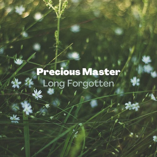 Precious Master - Long Forgotten [Bioritmica]