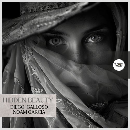 Noam Garcia, Diego Galloso - Hidden Beauty [Camel VIP Records]