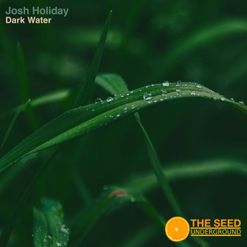 Josh Holiday - Dark Water [The Seed]
