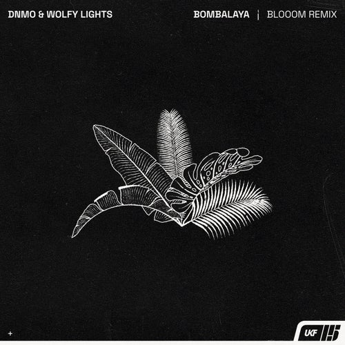 DNMO, Blooom, Wolfy Lights - Bombalaya - Blooom Remix [UKF]