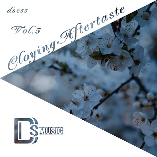 Arsen Movsisyan, Dave Harrigan - Cloying Aftertaste, Vol. 5 [Different Styles Music]