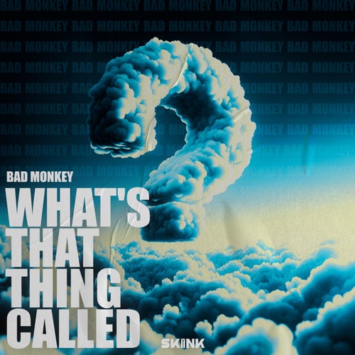Bad Monkey - What's That Thing Called [Skink]