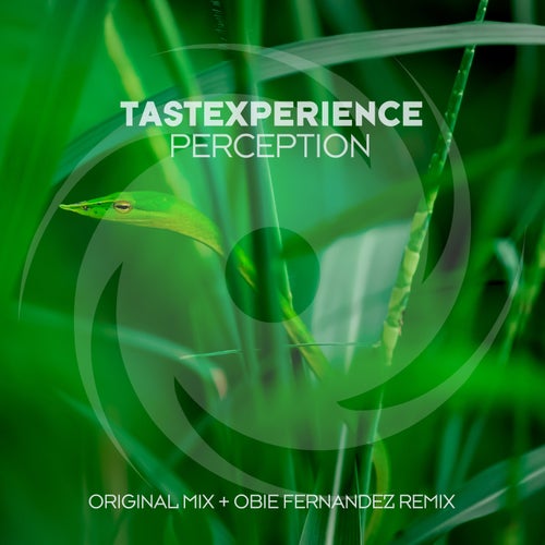 Tastexperience - Perception [Black Hole Recordings]