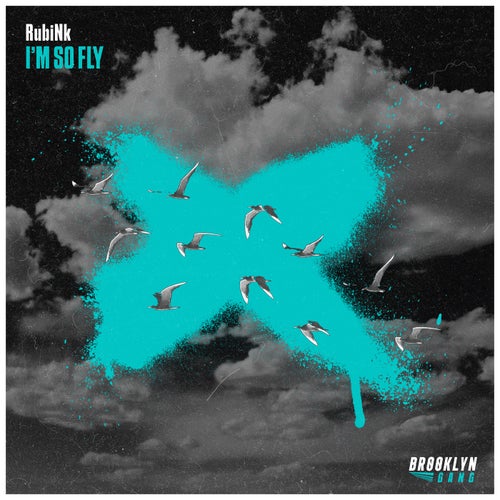 RubiNk - I'm So Fly [Brooklyn Gang]