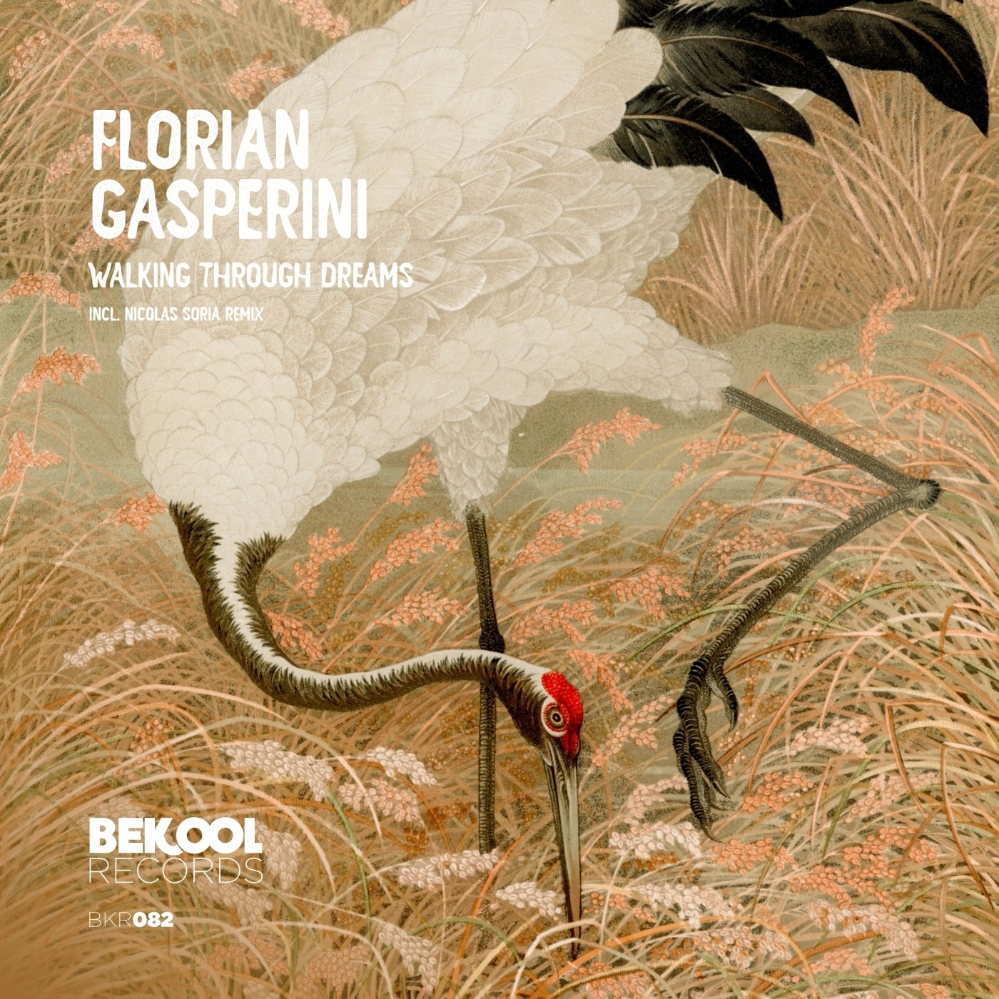 Florian Gasperini - Walking Through Dreams [Bekool Records]