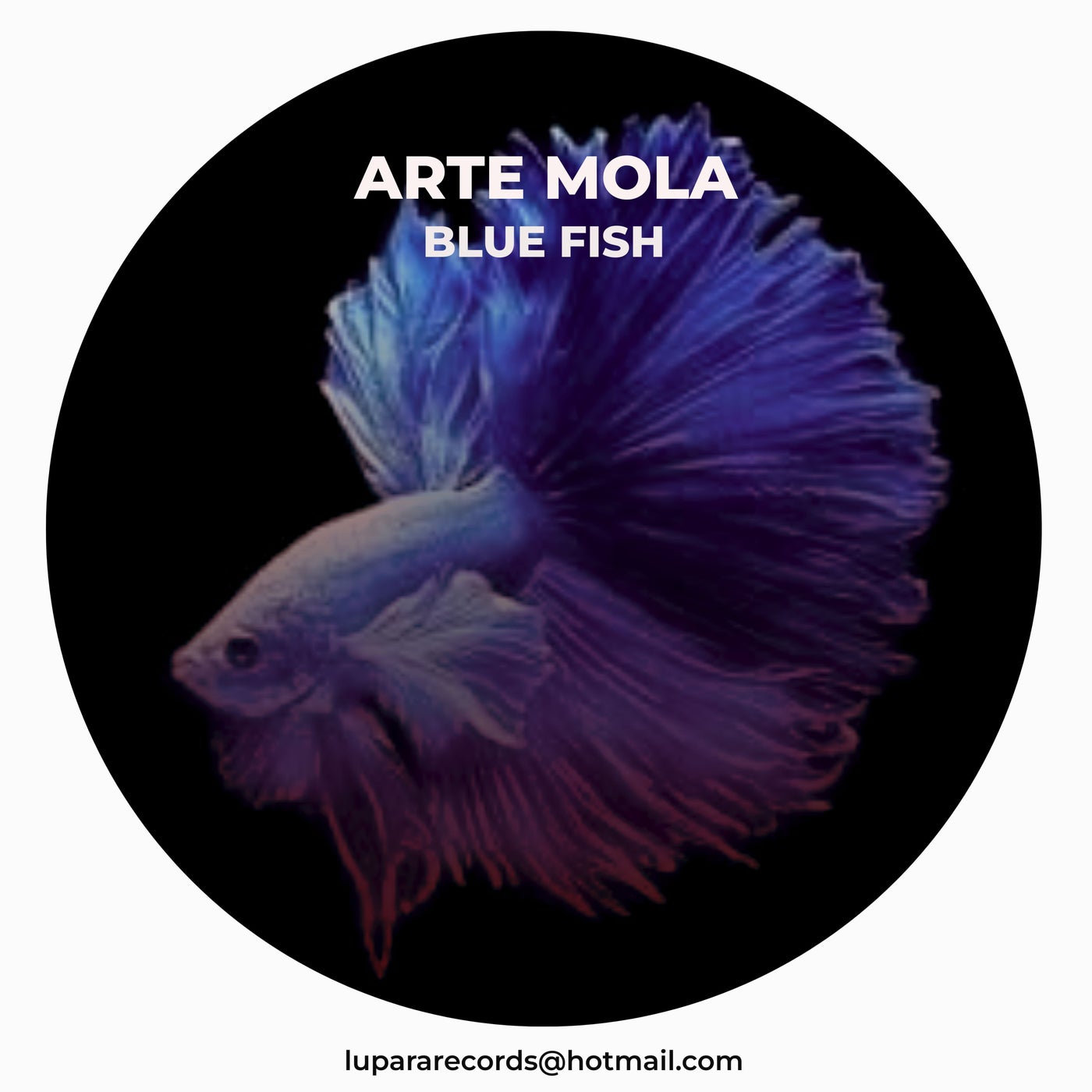 Arte Mola - Blue Fish [Lupara Records]